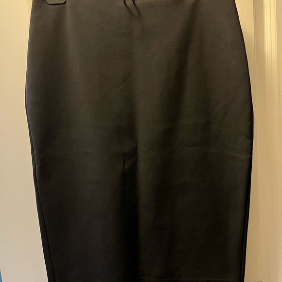 Express Pencil Skirt - Picture 4 of 4